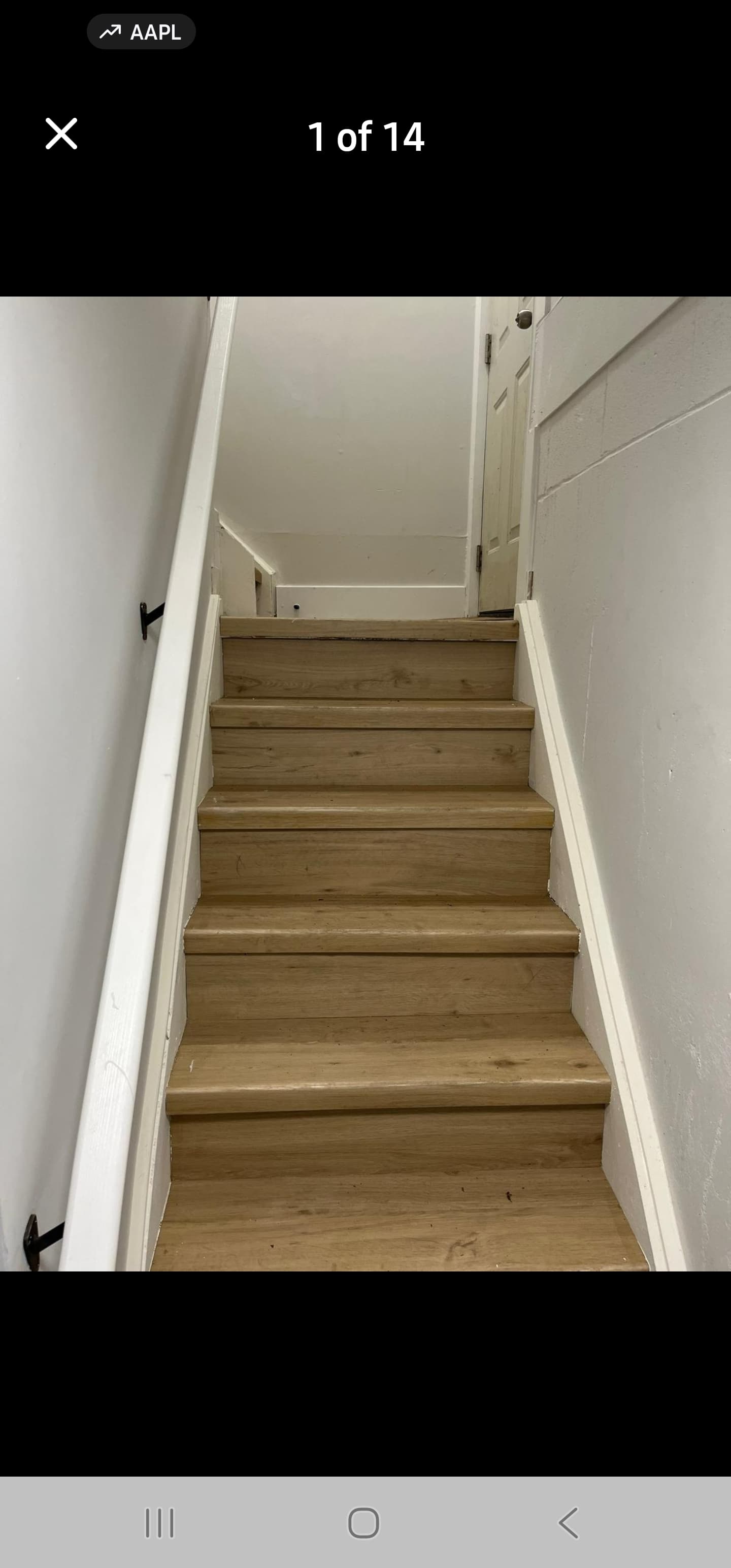 Basement Apt. in Argyle / East London